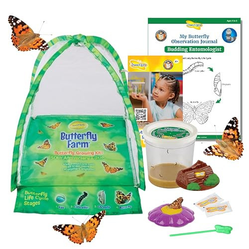 Insect Lore Butterfly Farm - Live Cup of 5 Caterpillars, Reusable Habitat, STEM Butterfly Activity Journal & Supplies - Grow, Observe and Release Painted Lady Butterflies | Amazon (US)