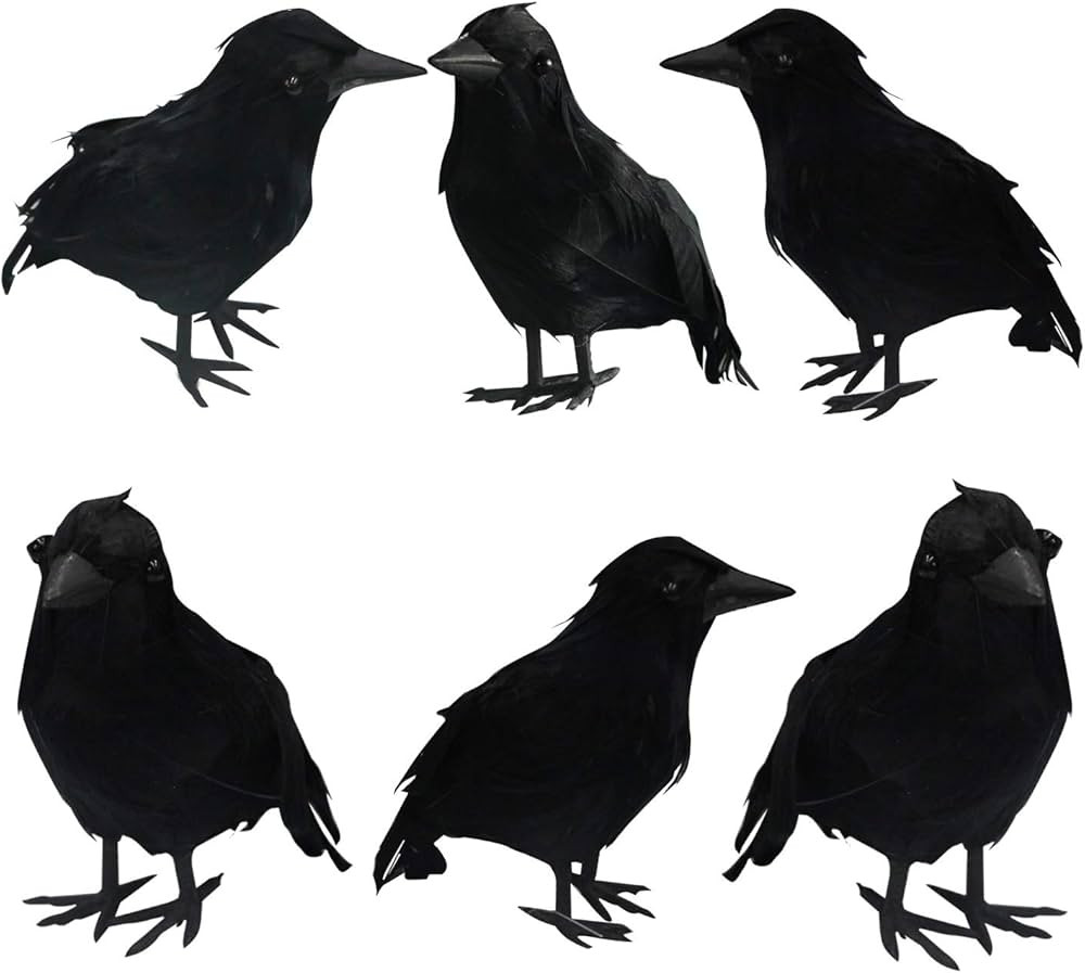 FUNPENY Halloween Black Feathered Crows, Lifelik Halloween Decoration Birds with Real Feather (6 ... | Amazon (US)