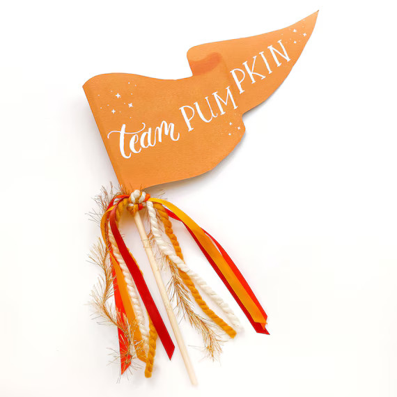 Team Pumpkin Party Pennant  Thanksgiving Pennant  Fall Party - Etsy | Etsy (US)