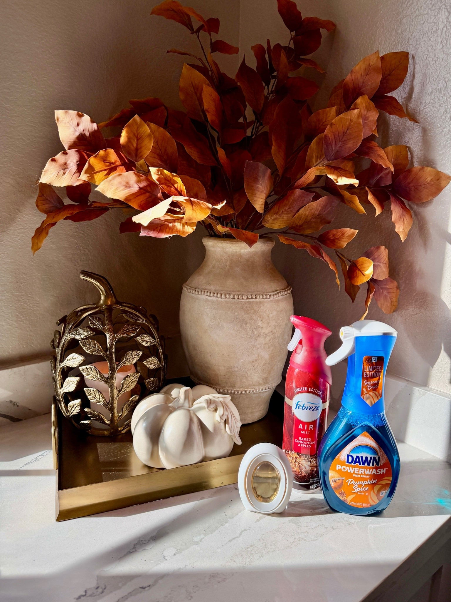 #ad If you’re looking to make your clean routine more enjoyable then you need some of these new scents from @Febreze and @dawndishwash #targetpartner #target #falliday @Target

#LTKHome #LTKSeasonal