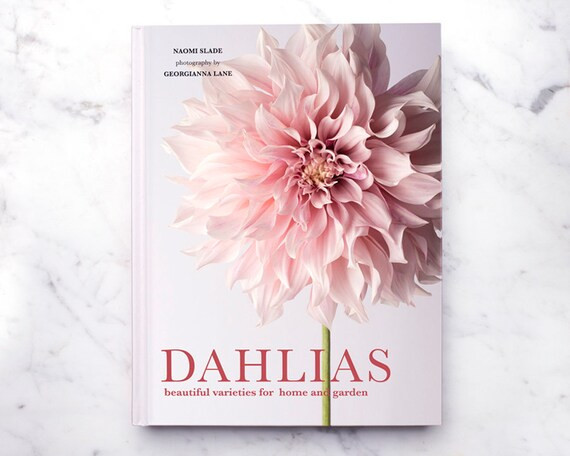 Dahlias Book – Signed by Photographer Georgianna Lane, Dahlia Photography, Flower Photography, ... | Etsy (US)