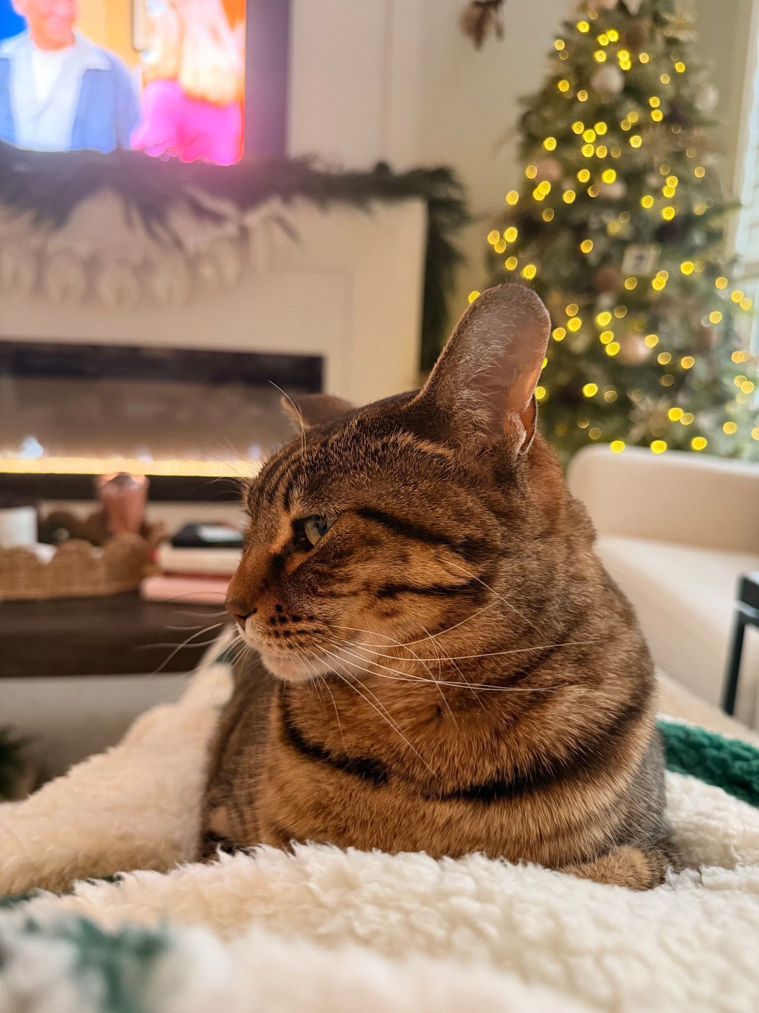 Cozy winter vibes ❄️ with my fur baby ❤️ 


#LTKwinter