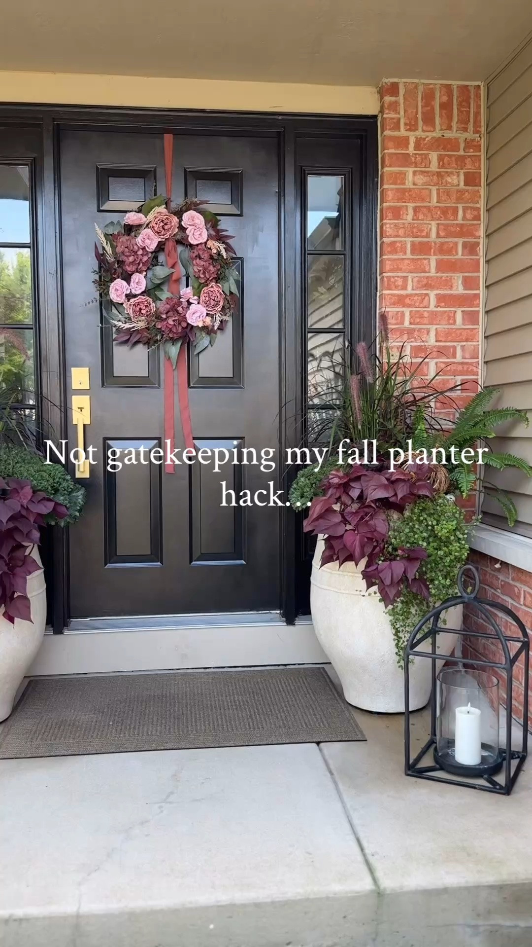 I saved a bit of money by taking one purple fountain grass and turning it in two. Using a serrated knife, I started cutting from the top middle of the plant and all the way through and down the plant. Gently separate and you’re ready to plant. 

Stay tuned for more tips on how I saved money on my fall planters!

#LTKHome #LTKSeasonal #LTKSaleAlert