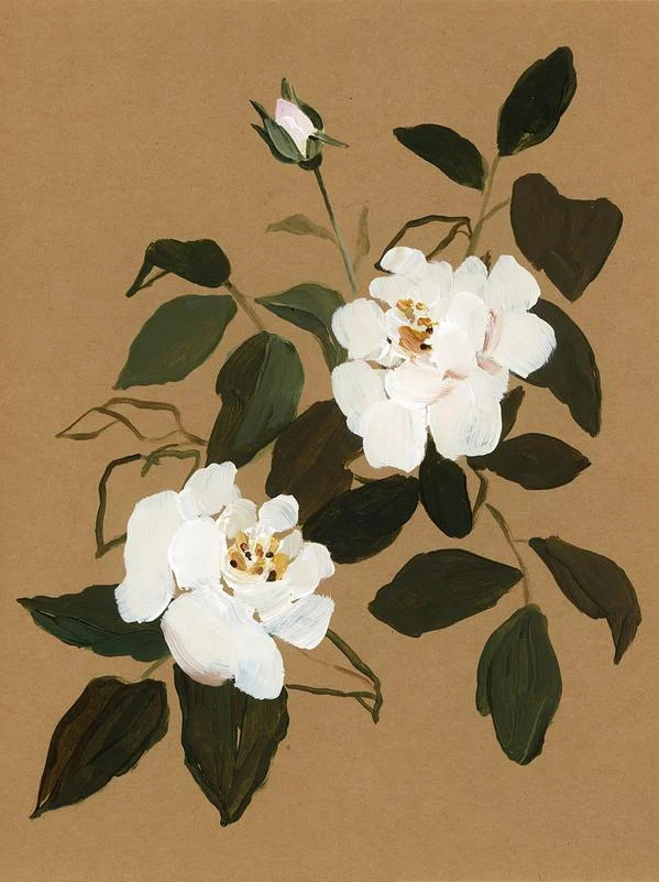 White Roses no.1 | Artfully Walls