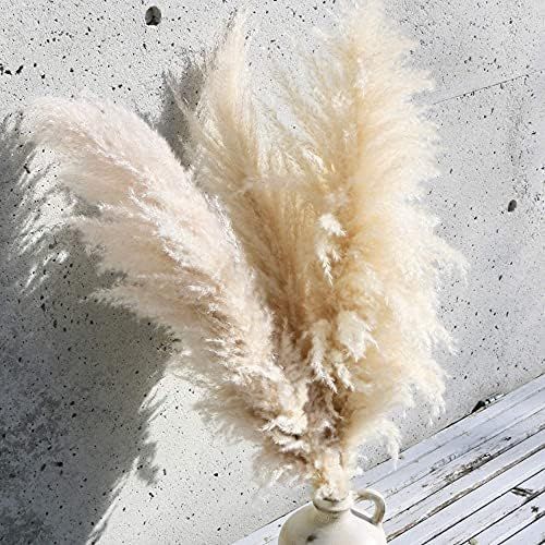 Streya & Co. Pampas Grass Decor Tall - Pampas Grass Large (3pcs 4FT) Extra Fluffy Dried Pampas Gr... | Amazon (US)