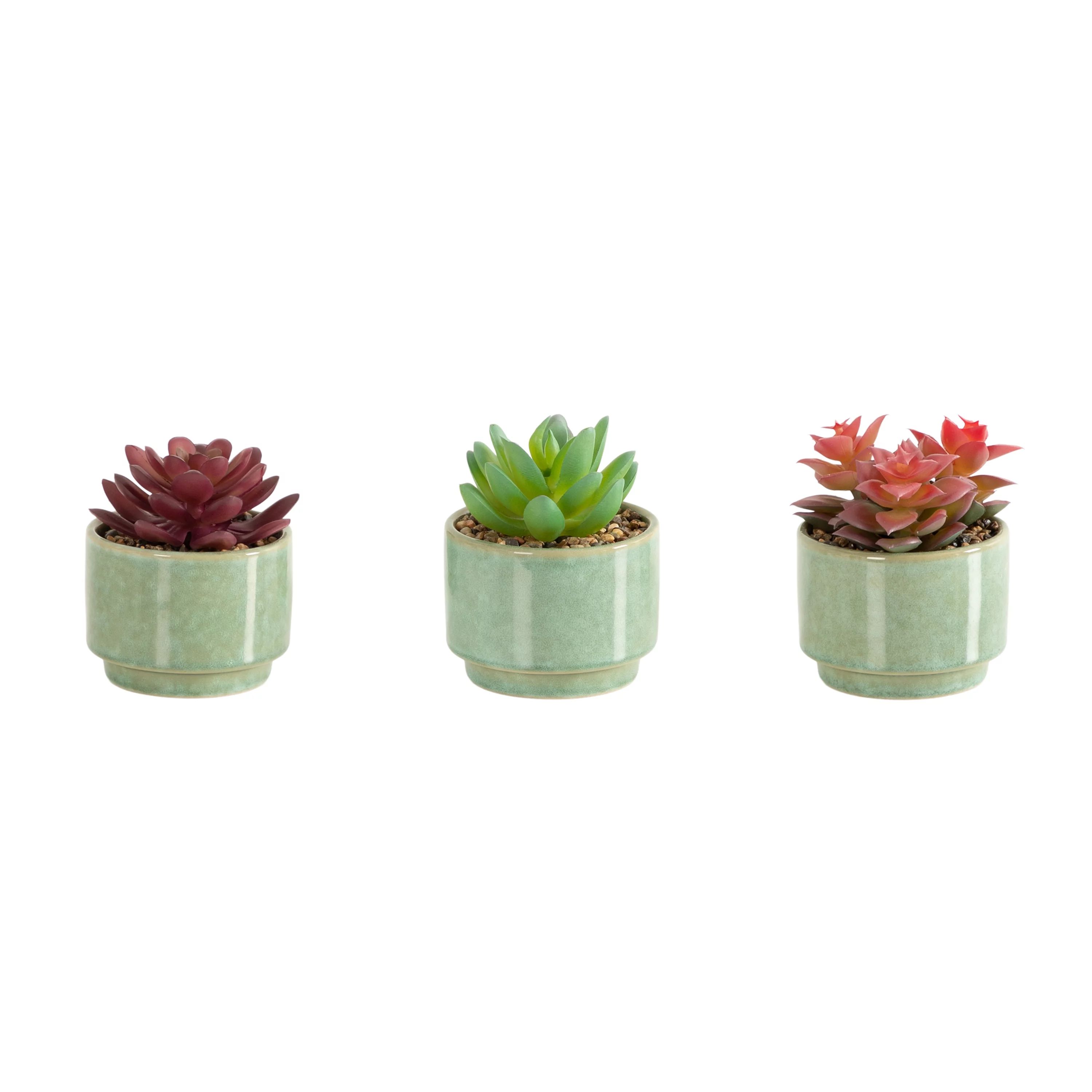 Mainstays Mini Succulent 3PC Set - Green | Walmart (US)