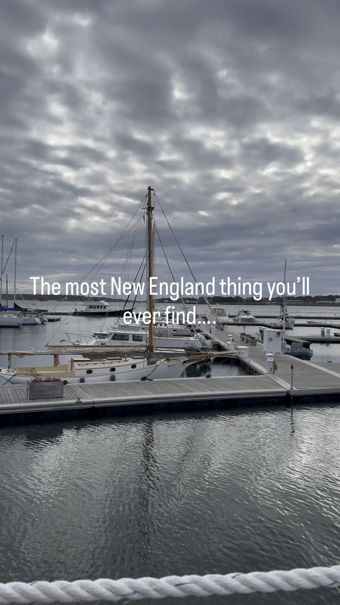 Am I right?😅😅

Total disclaimer, I was born and bred in New England (the state with the highest wind gusts ever to be recorded to be exact) but it was only after living in New York for eight years that I finally jumped on the ice coffee train in the winter.😅

While I am excited about summer I am still thinking about Salt Yard’s Pumpkin Spice Latte from October! It was that good. 

And this from the girl who is NOT a fan of the PSL…hopefully I haven’t shocked you all to much in one post.😅

#themostnewenglandthingever #realmainersdrinkicecoffee #psl #saltyardcafe #portlandmaine



#LTKPetite #LTKfoodie #LTKTravel