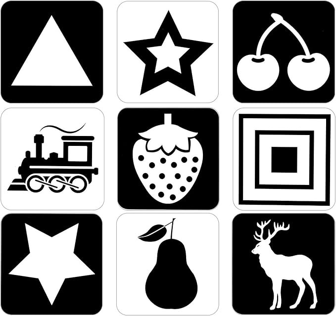 BRYTEFY Black and White Baby Flash Cards for Infants and Toddlers, 24 Cards 48Pictures (5.5'X5.5'... | Amazon (US)