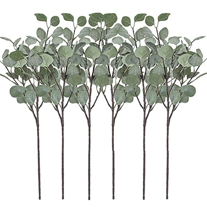 Artificial Greenery Stems 6 Pcs Straight Silver Dollar Eucalyptus Leaf Silk Greenery Bushes Plast... | Amazon (US)