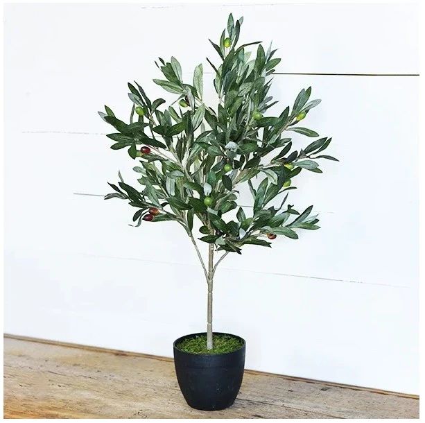 29" Olive Tree with Pot | The Nested Fig