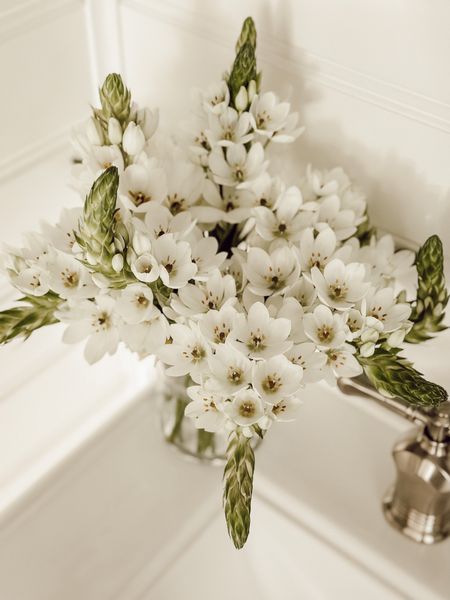 Did you know you can use a toothbrush holder as a vase?! 

#LTKstyletip #LTKFind #LTKhome