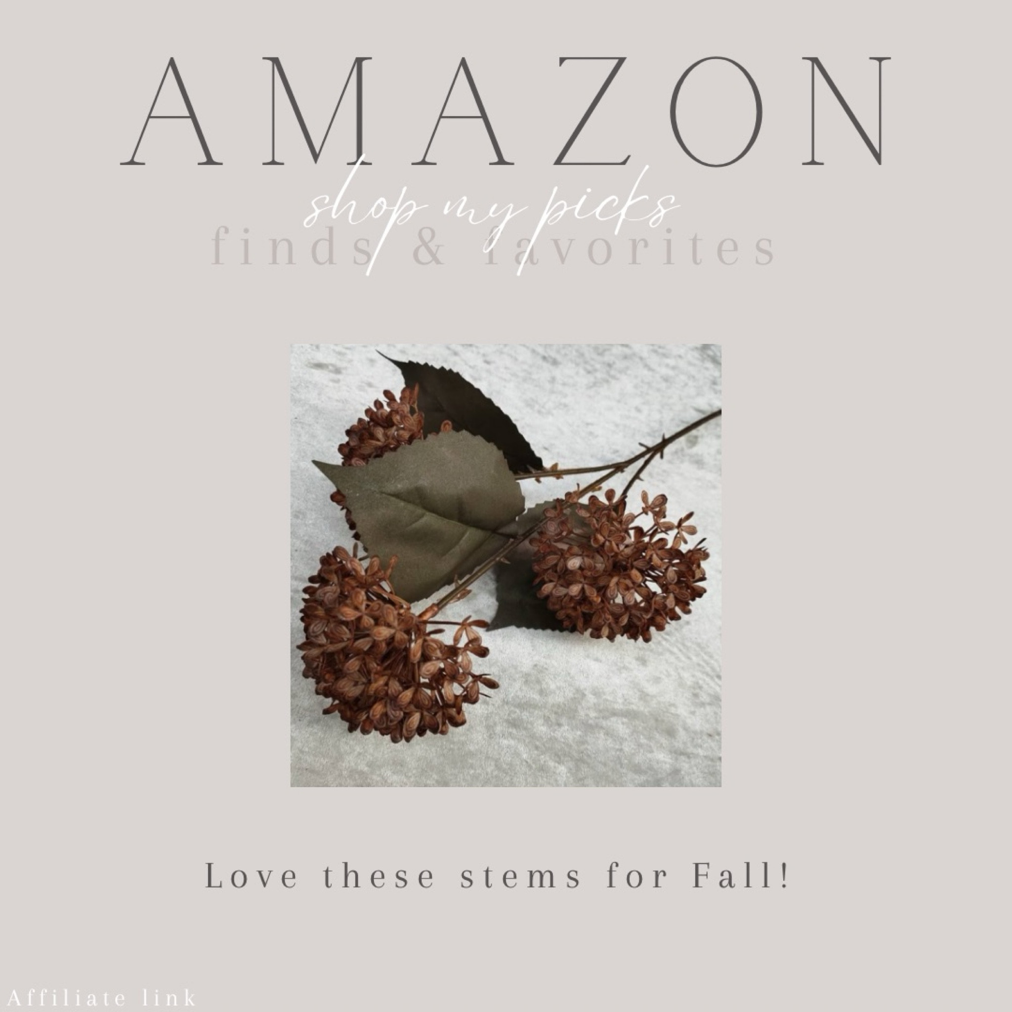 Fall stems, fall decor, home decor, neutral decor 


#amazon #amazonfinds #falldecor 

#LTKHome #LTKSeasonal