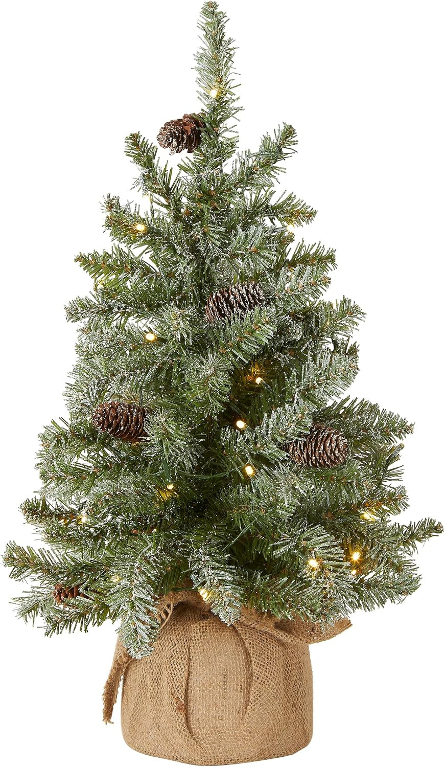 National Tree Company Pre-lit Artificial Mini Christmas Tree | Includes Small White LED Lights, and Cloth Bag Base | Snowy Concolor Fir - 2 ft | Amazon (US)