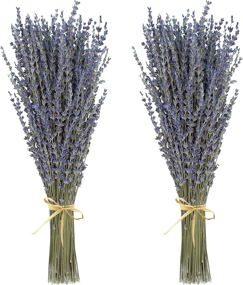 2 racimos de lavanda seca, 100% flores naturales frescas para decoración de baño, accesorios de... | Amazon (US)