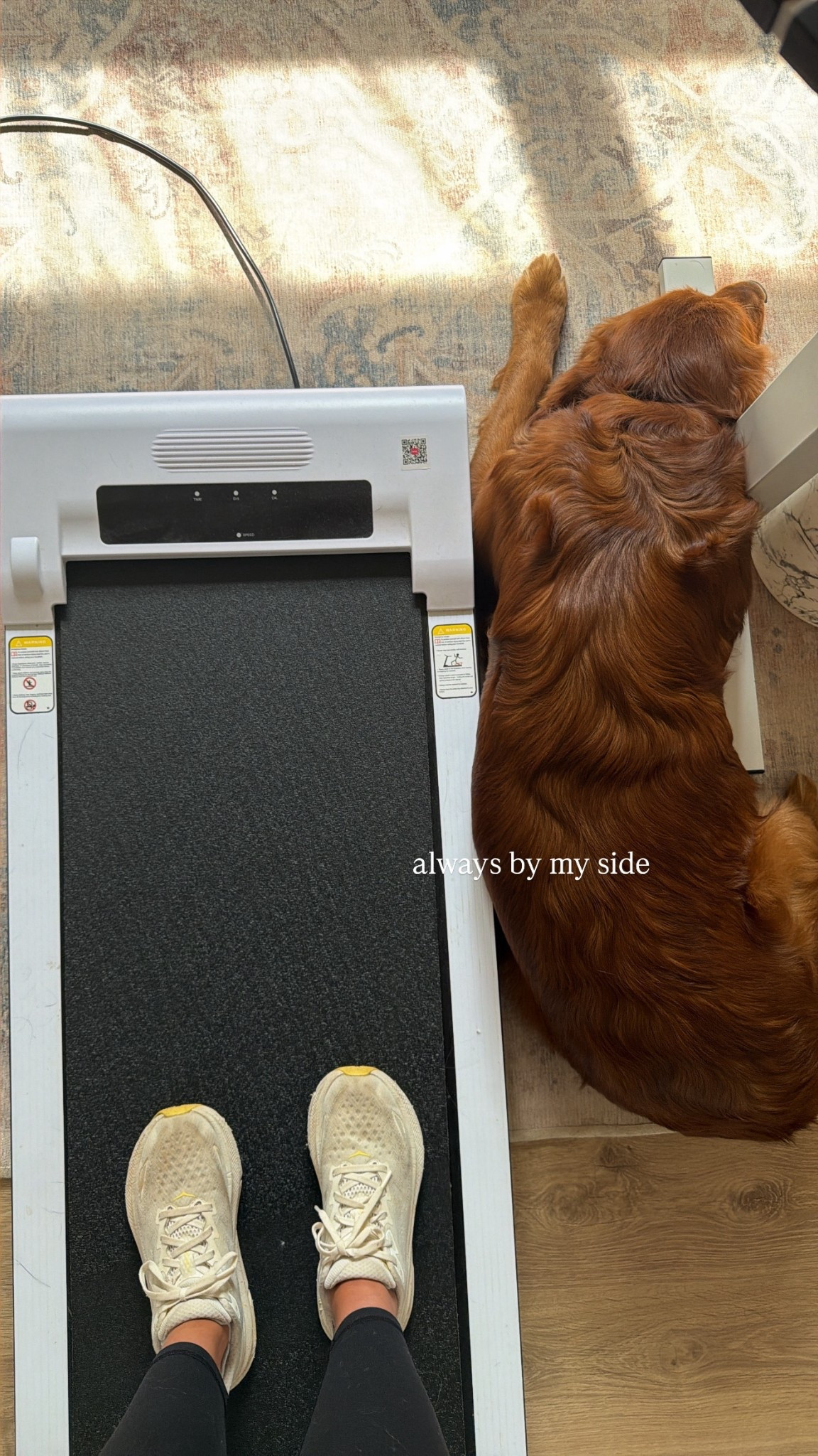 Walking pad link!! 

#LTKActive #LTKValentine #LTKWorkwear