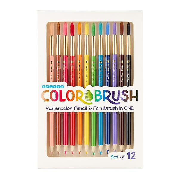 SNIFTY Color Brush | The Container Store