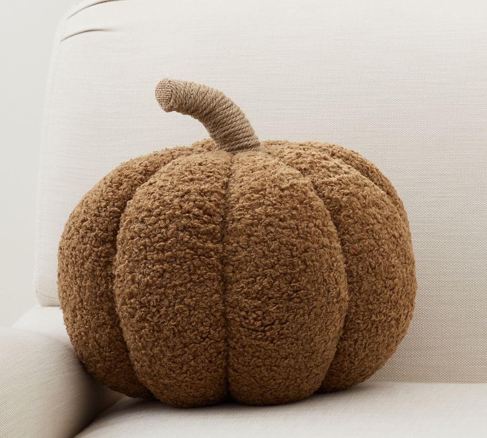 Cozy Pumpkin Pillows | Pottery Barn (US)