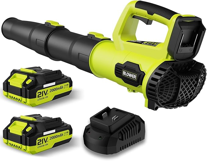 Leaf Blower, 21V Cordless Electric Blower with 2 2.0Ah Batteries and 1 Hour Fast Charger, Lightwe... | Amazon (US)