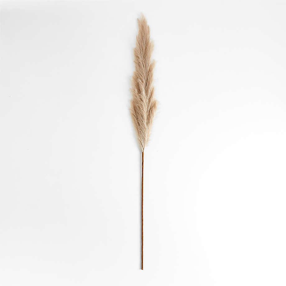 Faux Taupe Pampas Grass Stem 6' | Crate & Barrel | Crate & Barrel