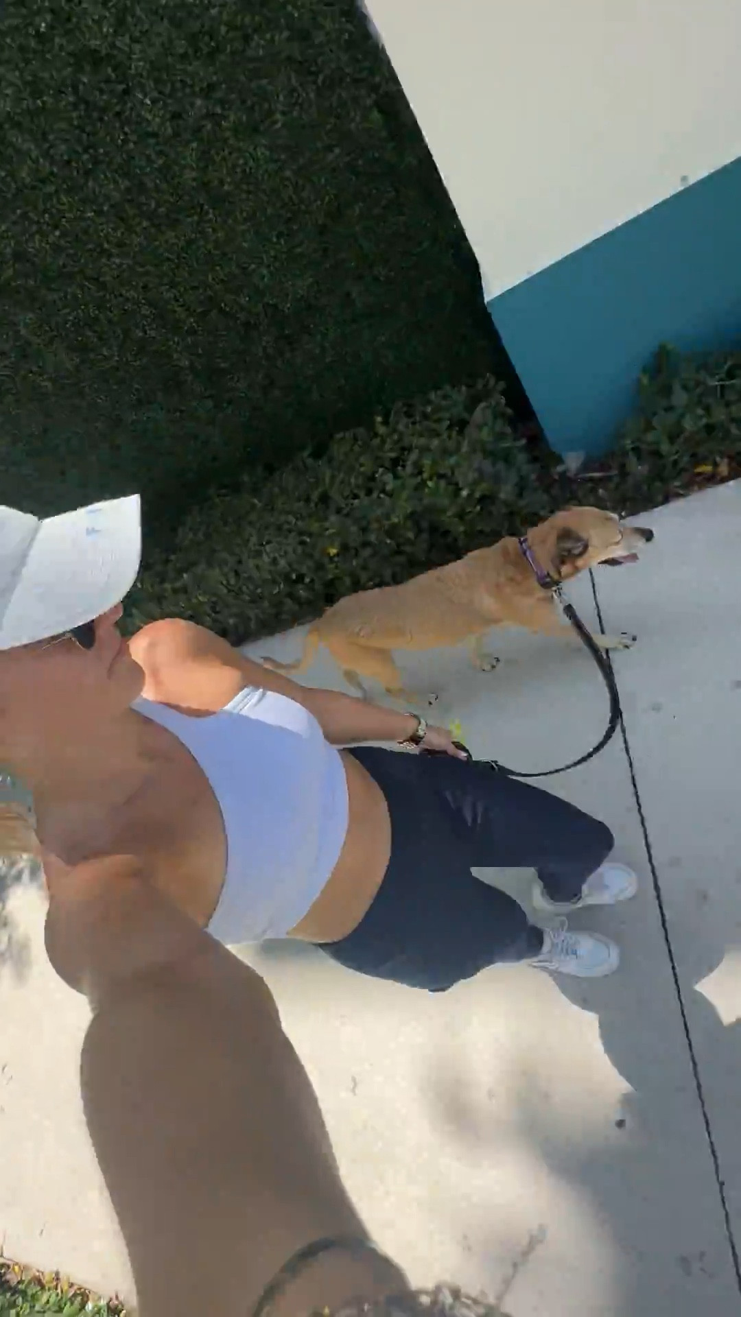 Athletic fit for a walk, all in size small!

#LTKActive #LTKFindsUnder50 #LTKPetite