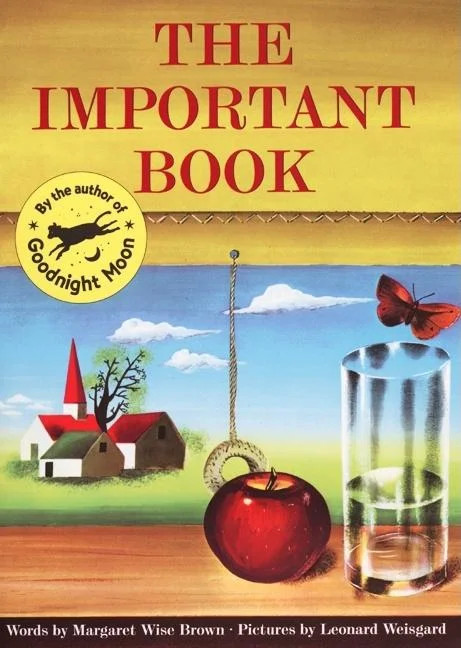 The Important Book (Paperback) - Walmart.com | Walmart (US)