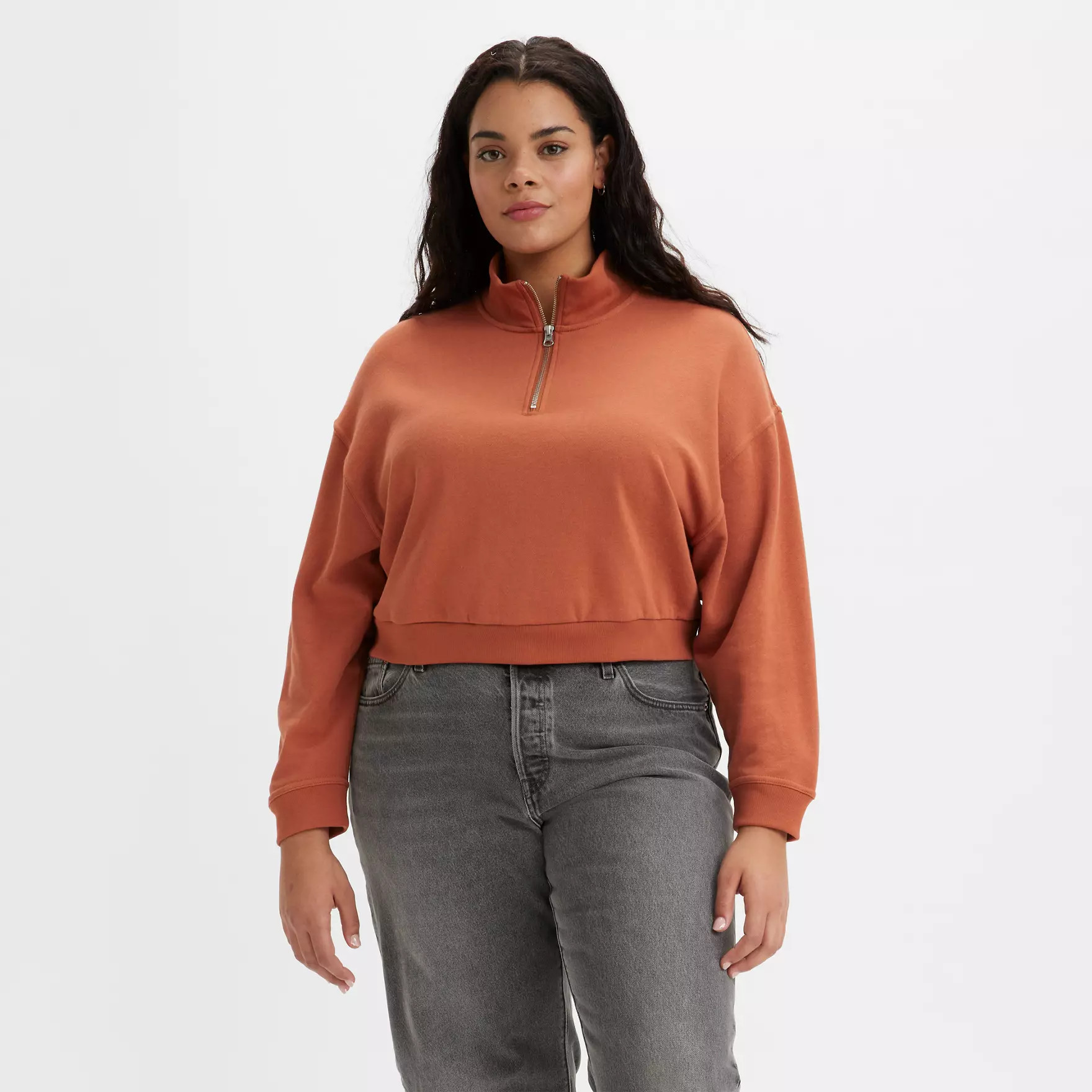 Cosmo 1/4 Zip Sweatshirt (plus) | Levi's US