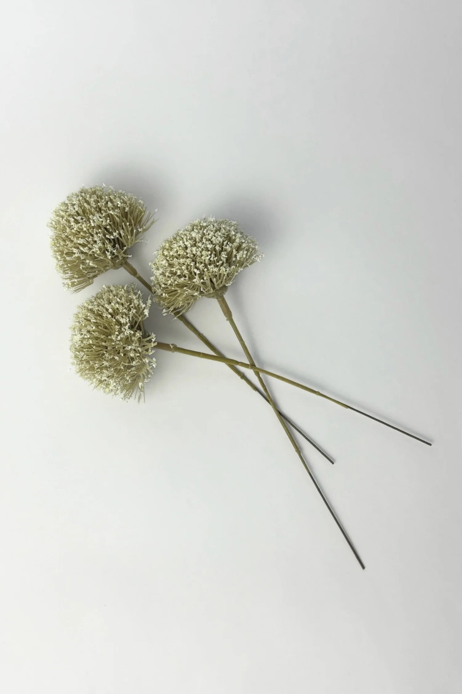 Allium Stem Bundle - 7” | THELIFESTYLEDCO