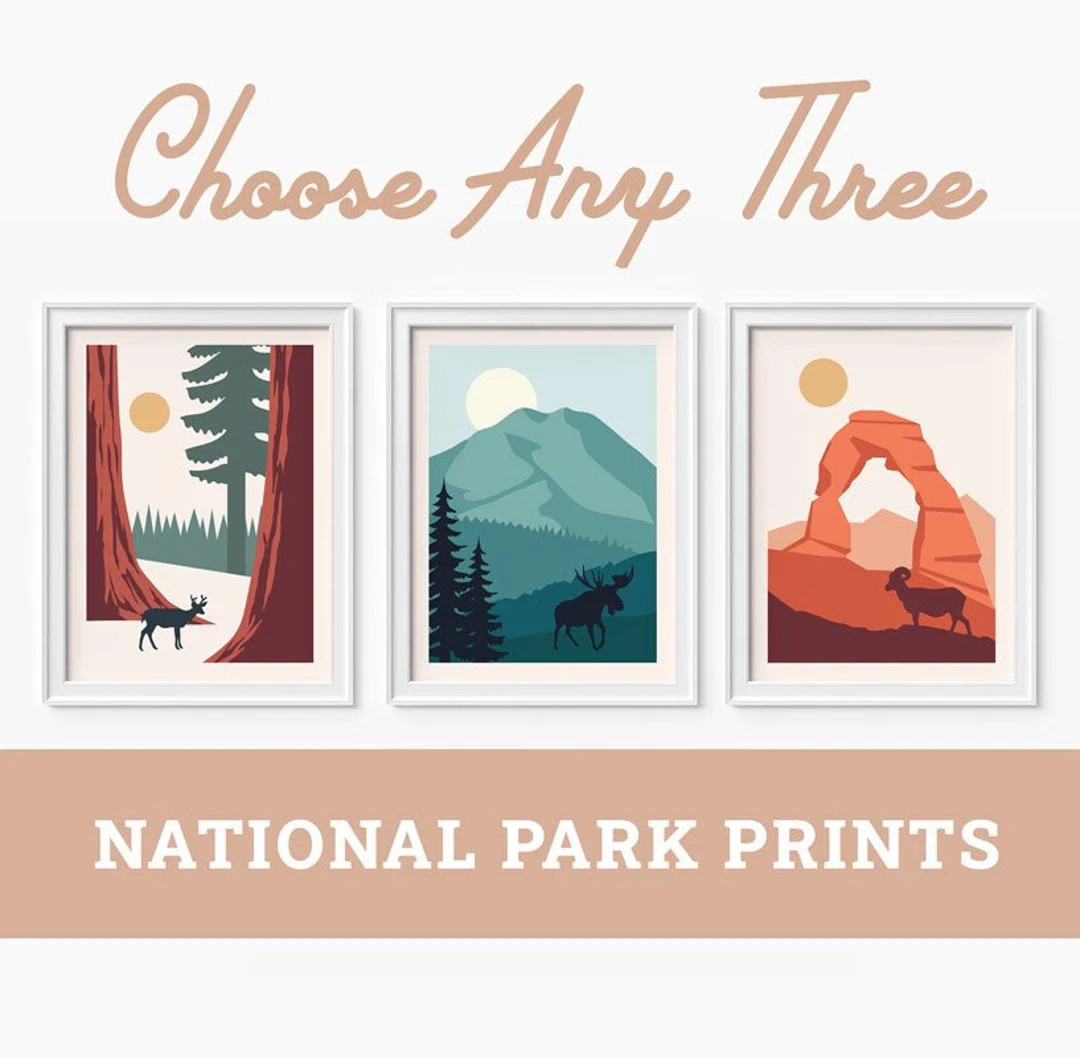 Money Saving Offer - Any 3 National Park Prints, Art Travel Poster , National Park Poster | Etsy (US)