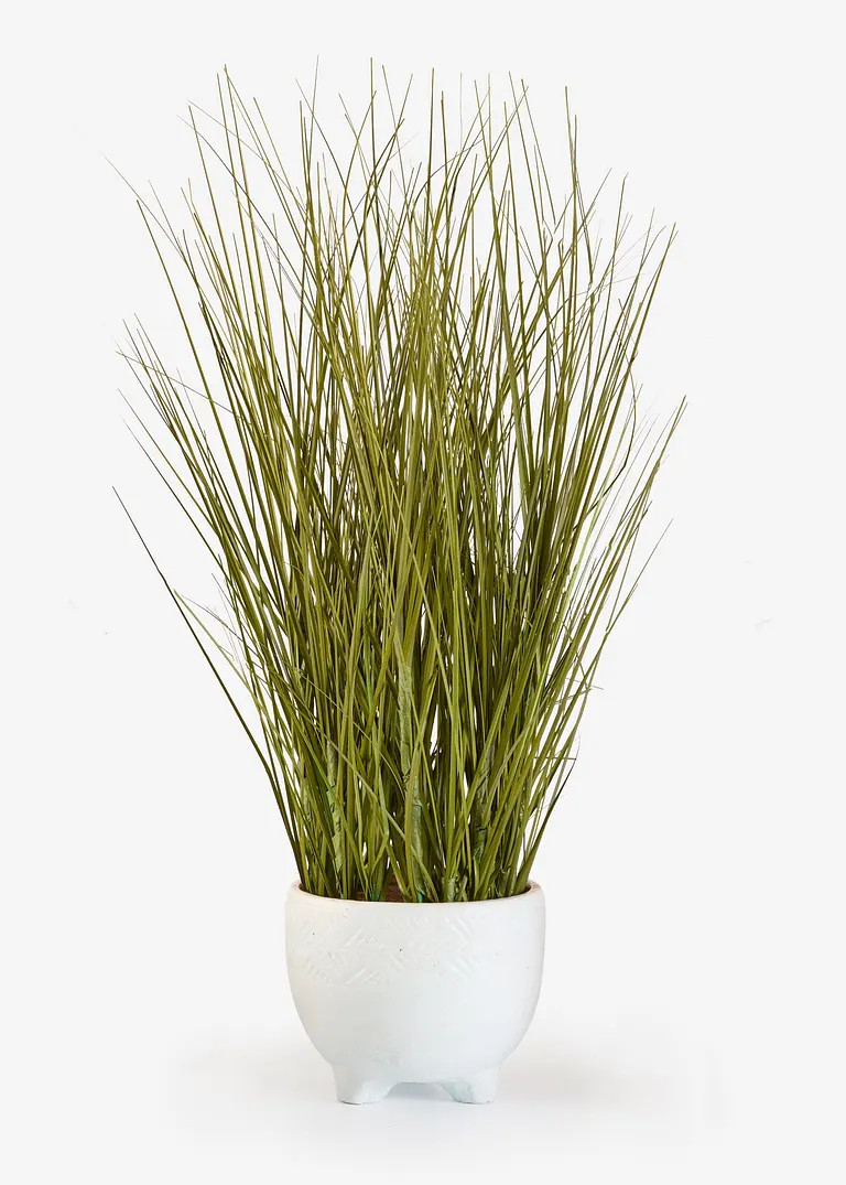 Kunstpflanze im Topf | Bonprix DE