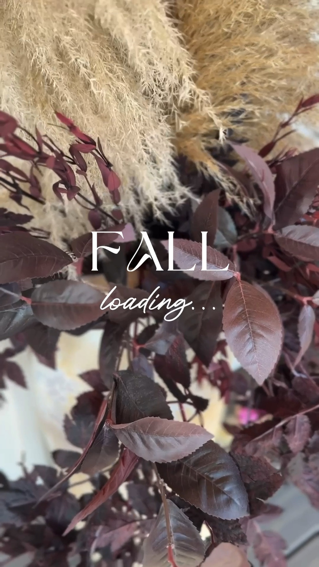 Can’t wait to share all the gorgeous fall details! For now…a lil’ sneaky peeky😉🙌🏻 #fallvibin’ #falldecor

#LTKHome #LTKFindsUnder50 #LTKSeasonal