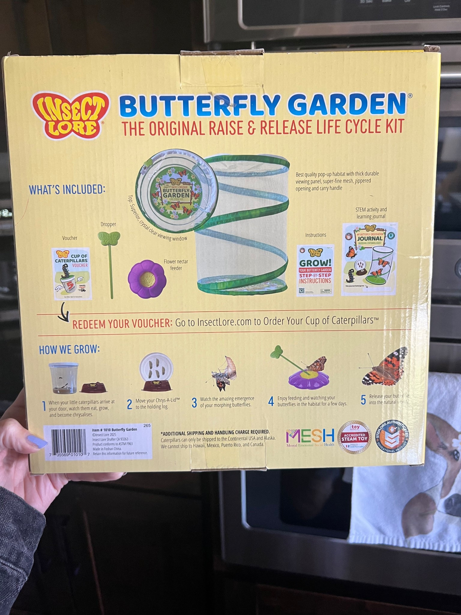 Caterpillar and butterfly kit. 

#butterfly #activity #kids #learning 

#LTKSeasonal #LTKKids