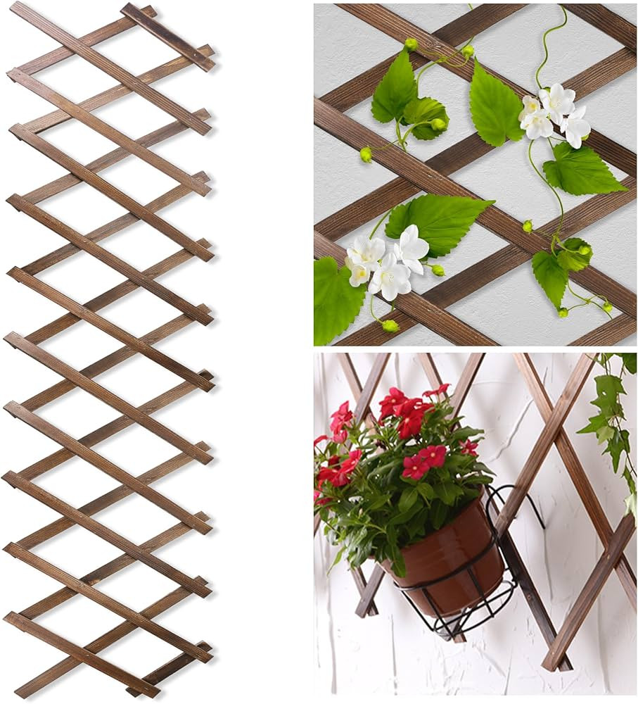 Wood Lattice Fence Panels for Outside 13.4"x78.8" Expandable Natural Wooden Wall Trellis Board De... | Amazon (US)