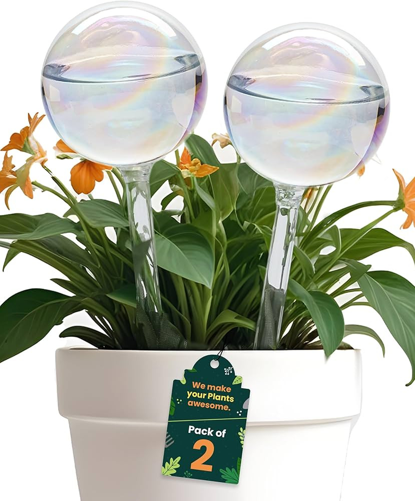 Iridescent Self Watering Globes, Glass Rainbow Plant Watering Globes, Self Watering Planter Inser... | Amazon (US)