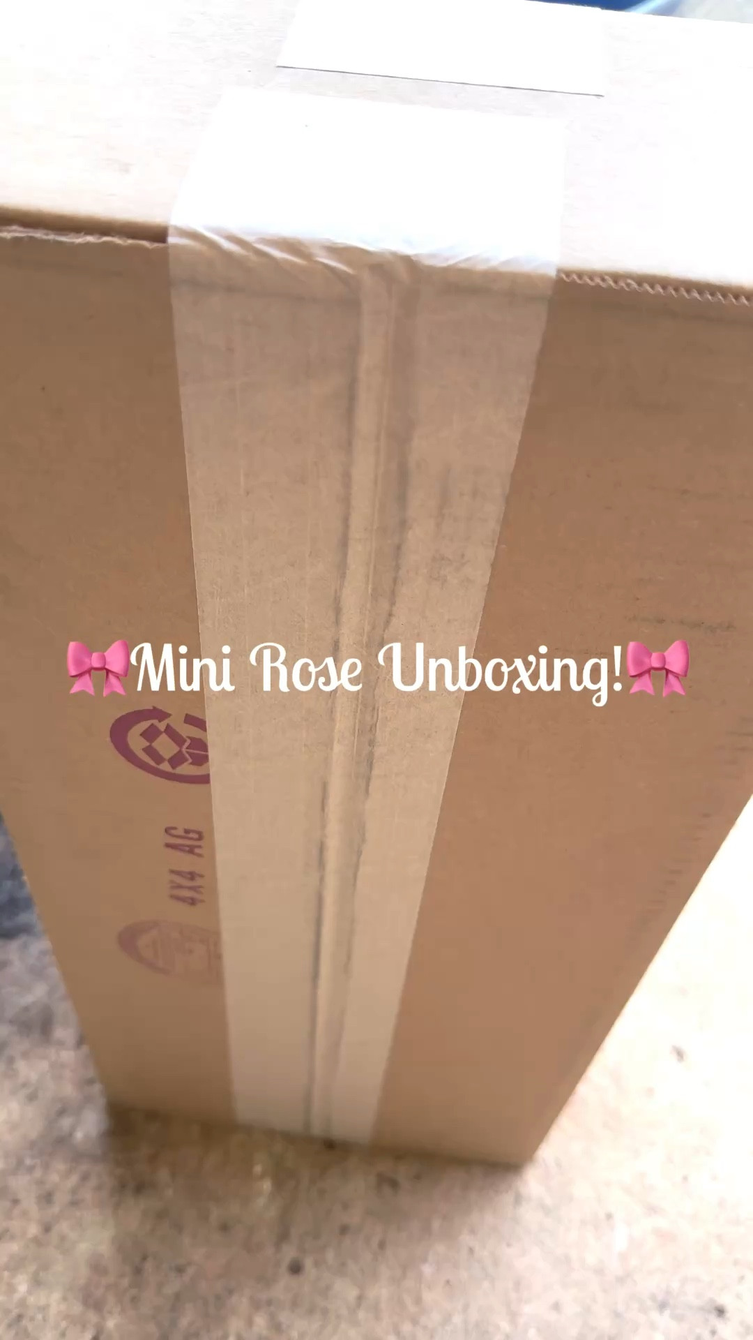 Mini roses are my new obsession! 

#LTKHome #LTKselfcare #LTKSeasonal