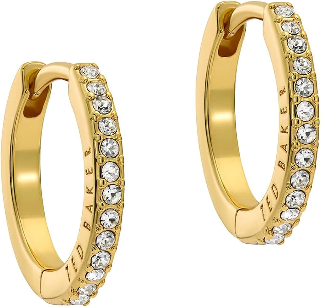 Ted Baker Heplie Crystal Hoop Earrings (14mm outside diameter) For Women | Amazon (UK)