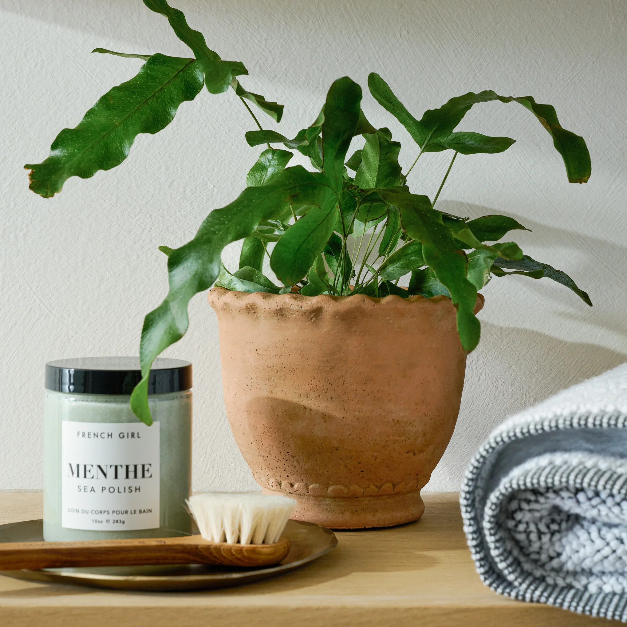 Terracotta Garden Scalloped Edge Pot | Magnolia