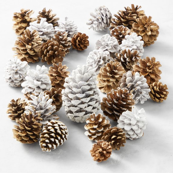 Grand Pinecone Bag, Winter | Williams-Sonoma