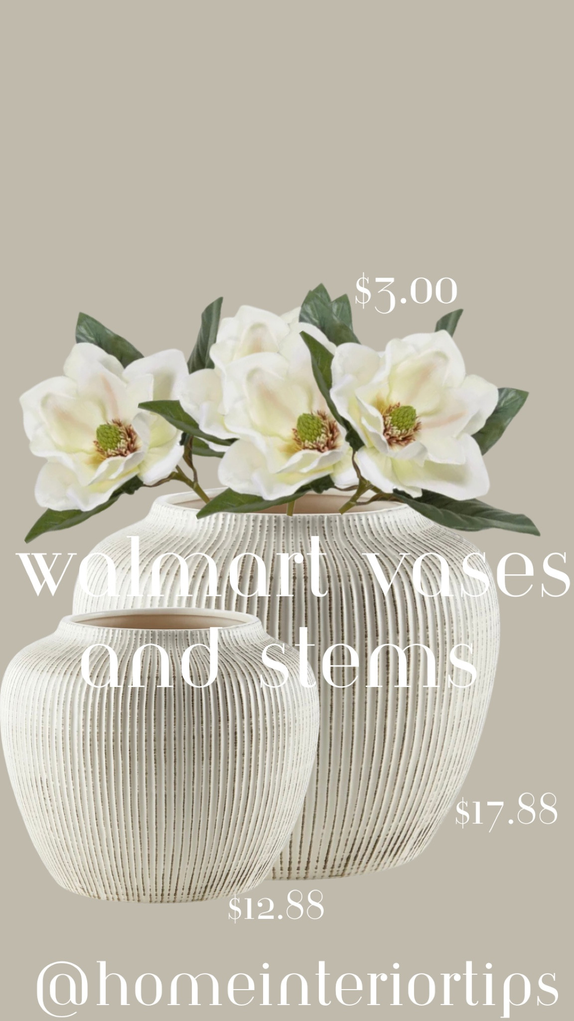 Trending Walmart vases and stems

#LTKhome