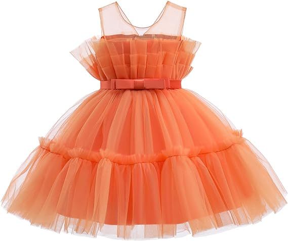 Flower Baby Girl Lace Dress Toddler Tulle Sleeveless Bow Princess Party Wedding Pageant Bridesmai... | Amazon (US)