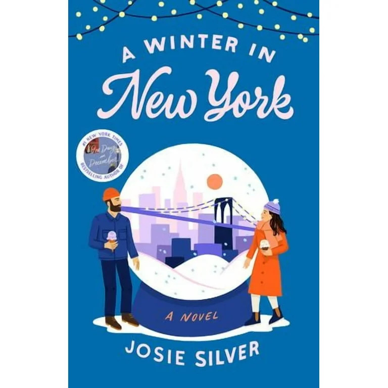 A Winter in New York : A Novel (Paperback) - Walmart.com | Walmart (US)