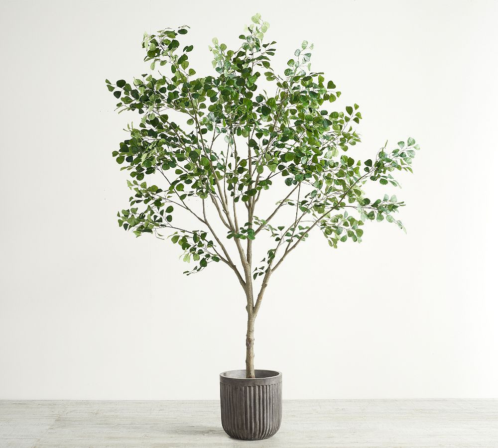Faux Shady Lady Olive Tree XXL 9' with XL Grey Concrete Fluted Planter | Pottery Barn (US)