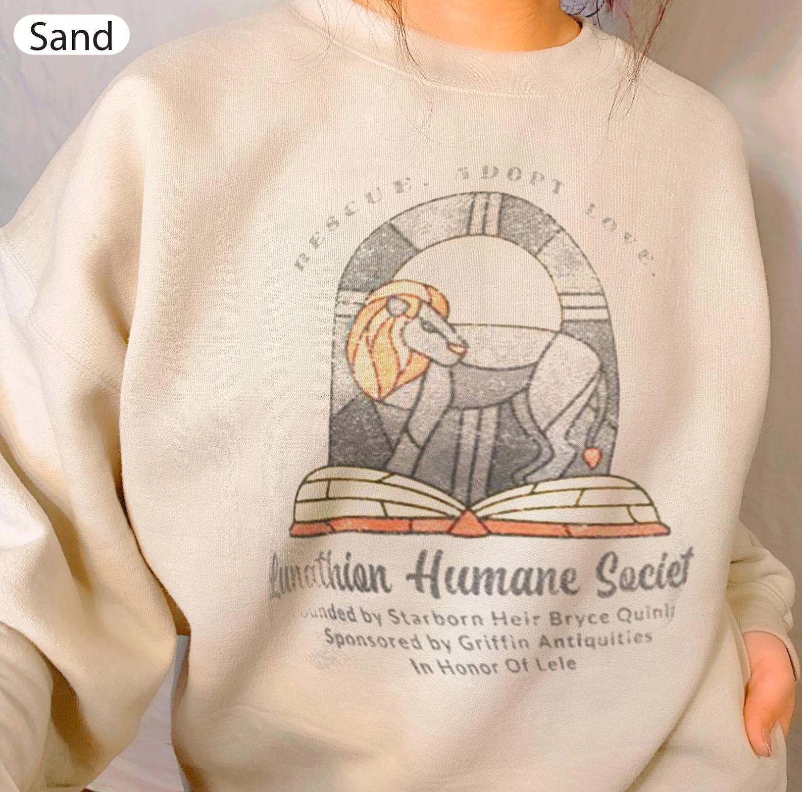Crescent City Syrinx Humane Society Shirt, Vintage Bookish Unisex Sweatshirt Back Design Crescent... | Etsy (US)