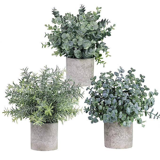 Winlyn Set of 3 Mini Potted Artificial Eucalyptus Plants Plastic Fake Green Rosemary Plant for Ho... | Amazon (US)