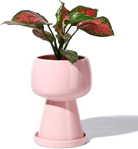 POTEY 054605 Flower Pot Indoor with Drainage Holes & Saucer - 4.9 Inch Glazed Ceramic Modern Uniq... | Amazon (US)