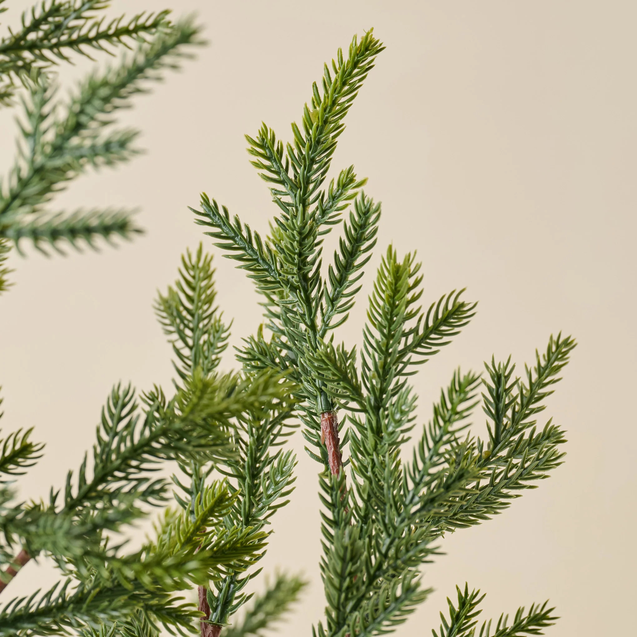 Real Touch Oversized Evergreen Pine Stem | Magnolia