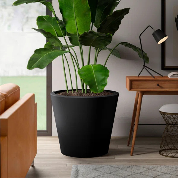 Charpentier All-Weather Resin Pot Planter | Wayfair North America