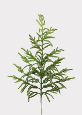 Afloral™ Real Touch Norfolk Pine Branch - 36" | Afloral