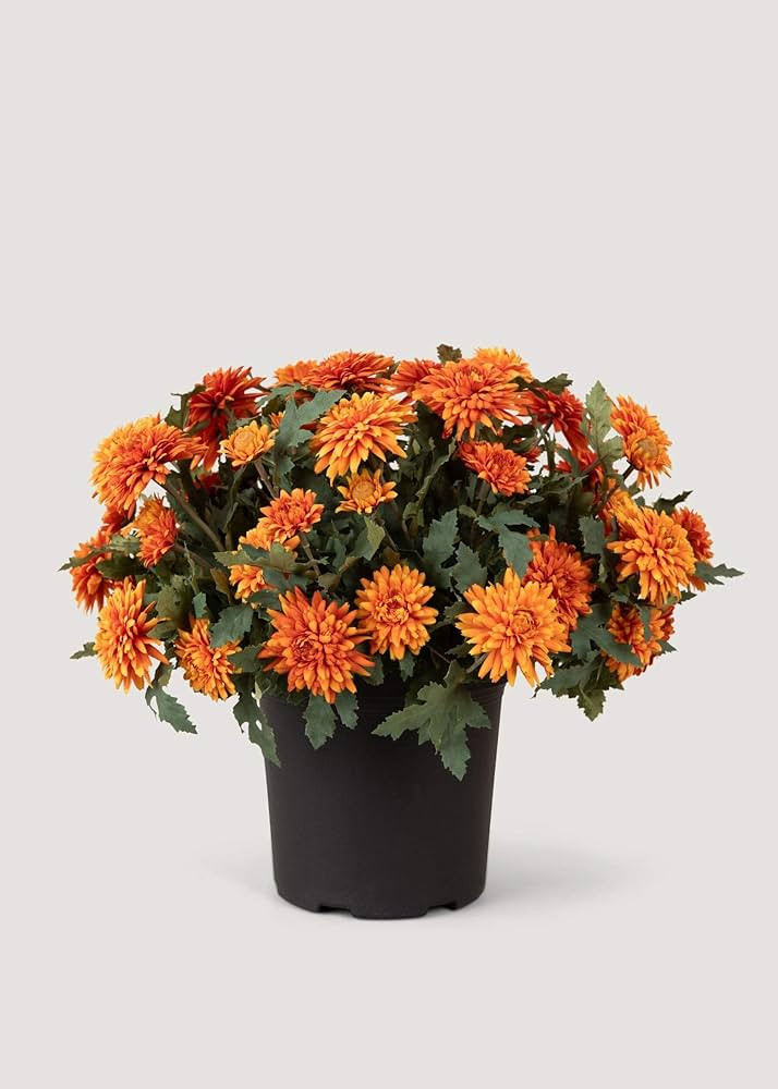 UV Treated Indoor/Outdoor Potted Fake Fall Orange Mums -17" | Amazon (US)