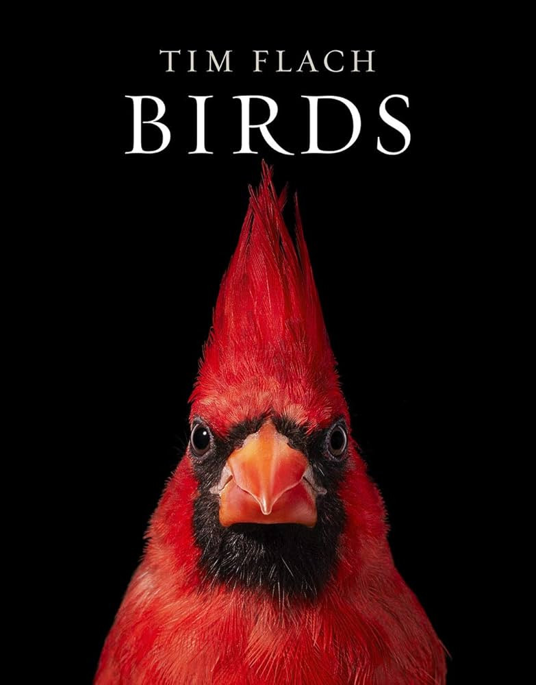 Birds: Photographs | Amazon (US)