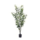BLOOMR Potted Artificial Ficus Tree, Trendy Luxury Silk Fabric Green Decorative Indoor Faux Plant, 6 | Amazon (US)